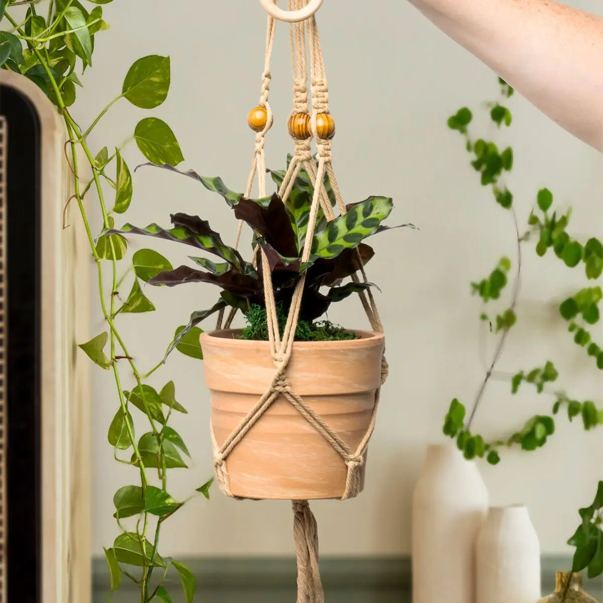Let's Hang Macrame Plant Hanger