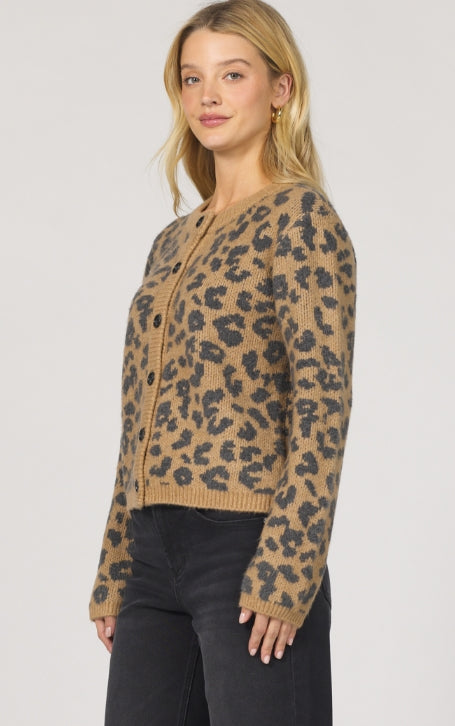 Amina Cardigan
