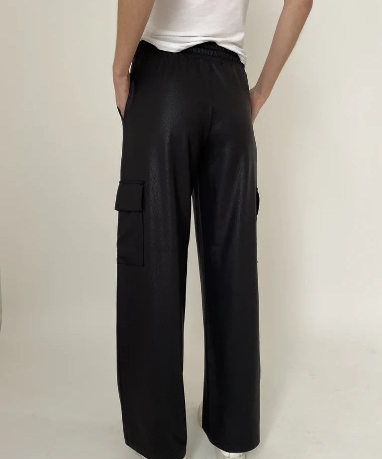 Headliner Coated Cargo Pant image 1