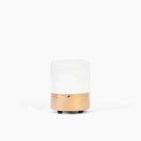 Mini Mod Wax Melter image 0